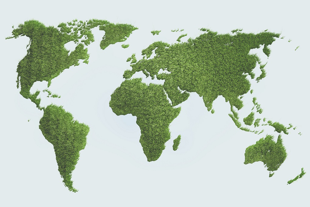 World map made up of trees