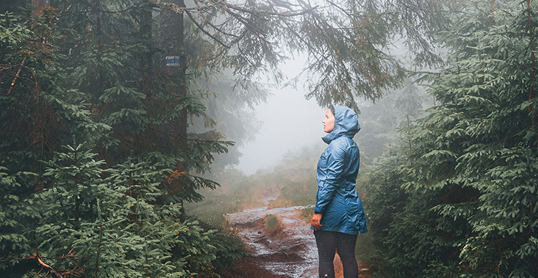 Hike on a snowy mountain