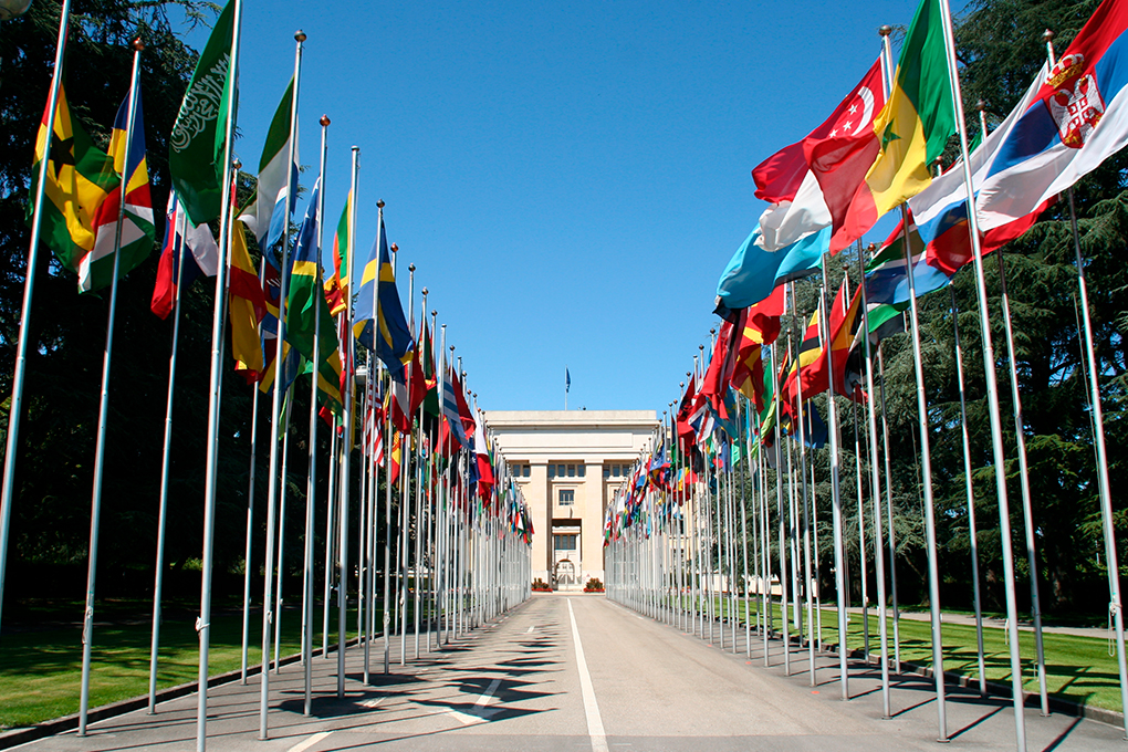 A row of the UN flags